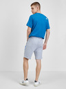 Lacoste Shorts