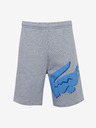 Lacoste Shorts