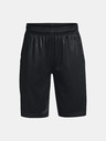 Under Armour UA Renegade 3.0 Prtd Kids shorts