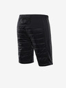 ALPINE PRO Haka 2 Shorts