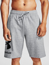 Under Armour UA Rival FLC Shorts