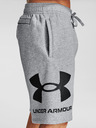 Under Armour UA Rival FLC Shorts