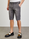 ZOOT.lab Dax Shorts