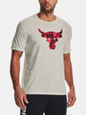 Under Armour UA Project Rock Brahma Bull SS T-Shirt