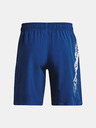 Under Armour UA Woven Graphic Shorts