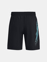 Under Armour UA Woven Graphic Shorts-BLK Shorts