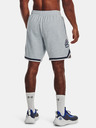 Under Armour Curry Fleece 9'' Shorts