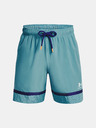 Under Armour UA Acc Woven Shorts