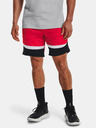 Under Armour UA Heatwave Hoops Shorts