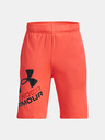 Under Armour UA Prototype 2.0 Logo Kids shorts