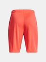 Under Armour UA Prototype 2.0 Logo Kids shorts