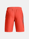 Under Armour UA Woven Graphic Kids shorts