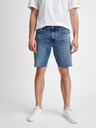 GAP Shorts