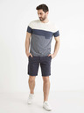 Celio Bochinobm Shorts