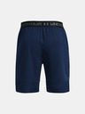 Under Armour UA Vanish Woven 8in Shorts