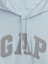 GAP Sweatshirt