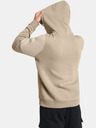 Under Armour UA Essential Flc Blocked HD Sweatshirt