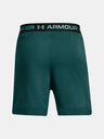 Under Armour UA Vanish Woven 6in Shorts