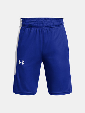 Under Armour UA Baseline Kids shorts