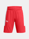 Under Armour UA Baseline Kids shorts