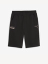 Puma PL ESS Shorts