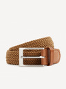 Celio Gigi1 Riem