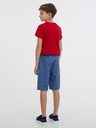 Sam 73 Falko Kids shorts