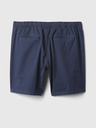 GAP Vintage Shorts