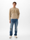 GAP Sweatshirt