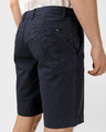 Lacoste Marine Shorts