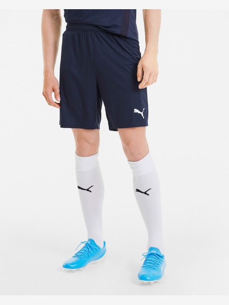 Puma teamGOAL 23 Shorts